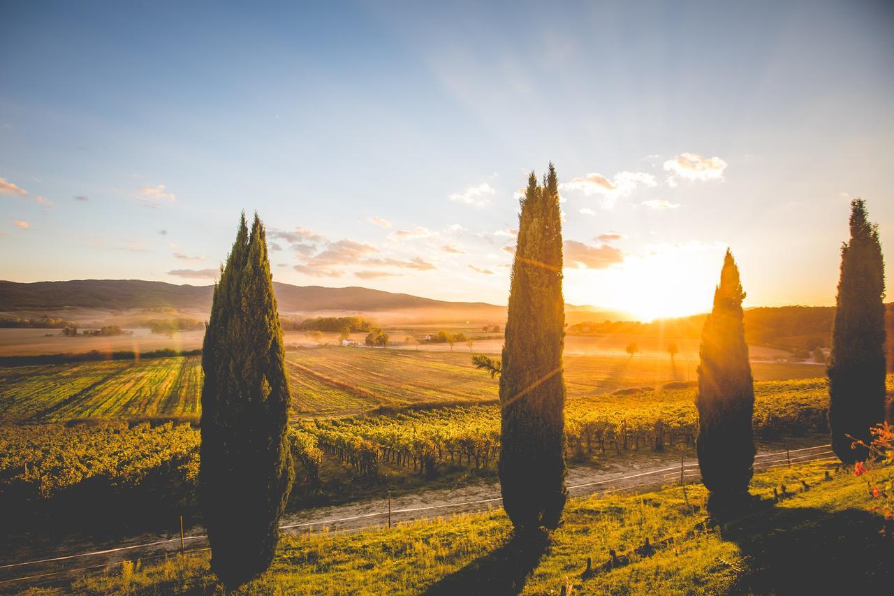 Casali Di Bibbiano Villa Buonconvento Buitenkant foto